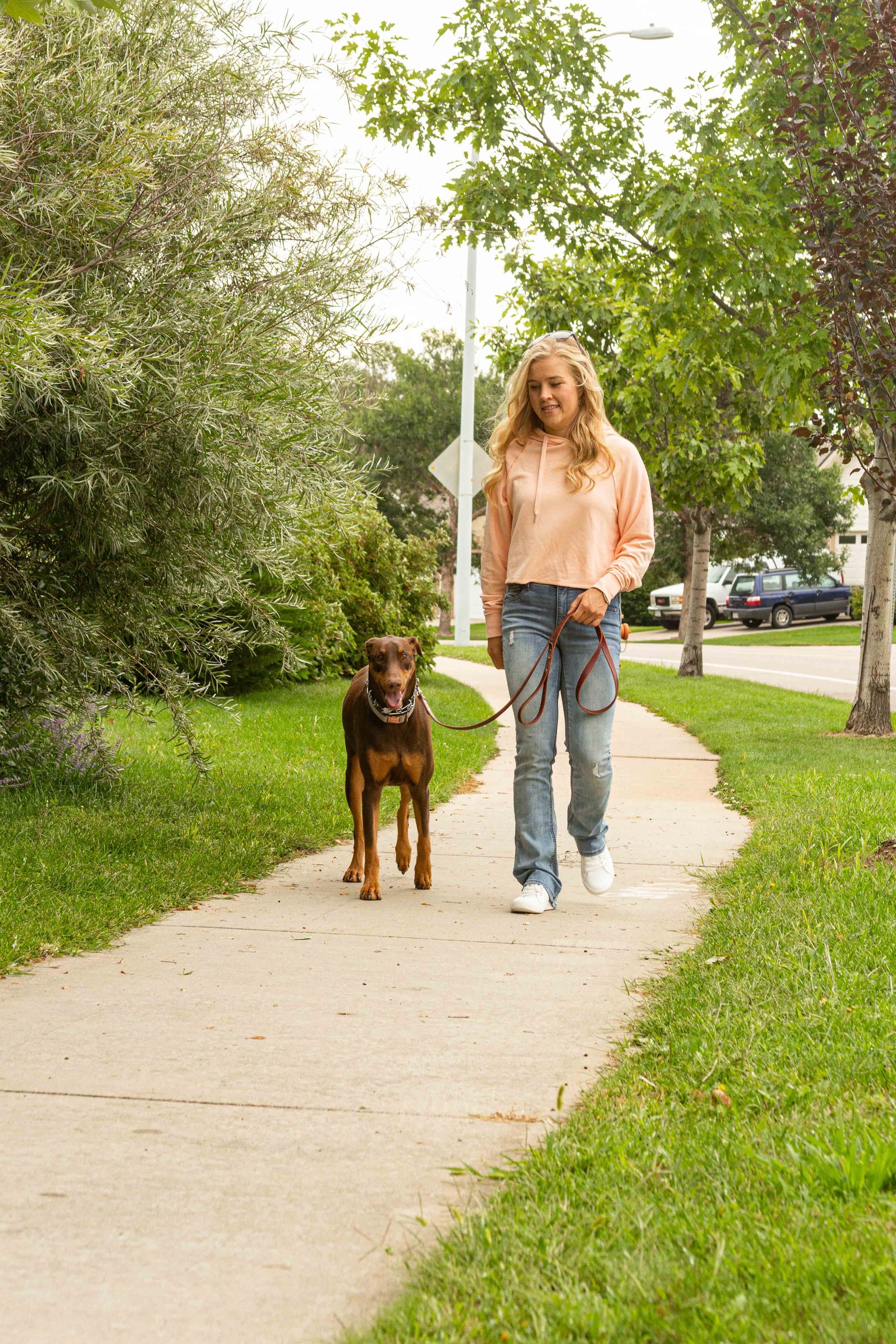 Professional dog training Greeley Colorado with well-trained dog