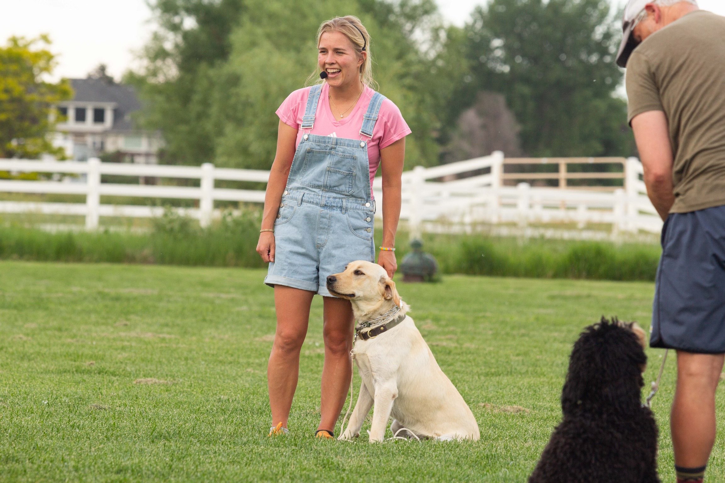 Professional dog trainer in Greeley Colorado with well-trained lab on farm in Northern Colorado